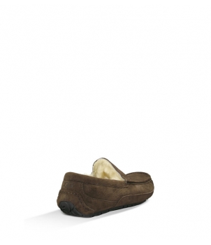 Mens Ascot - Suede Chocolate 5775